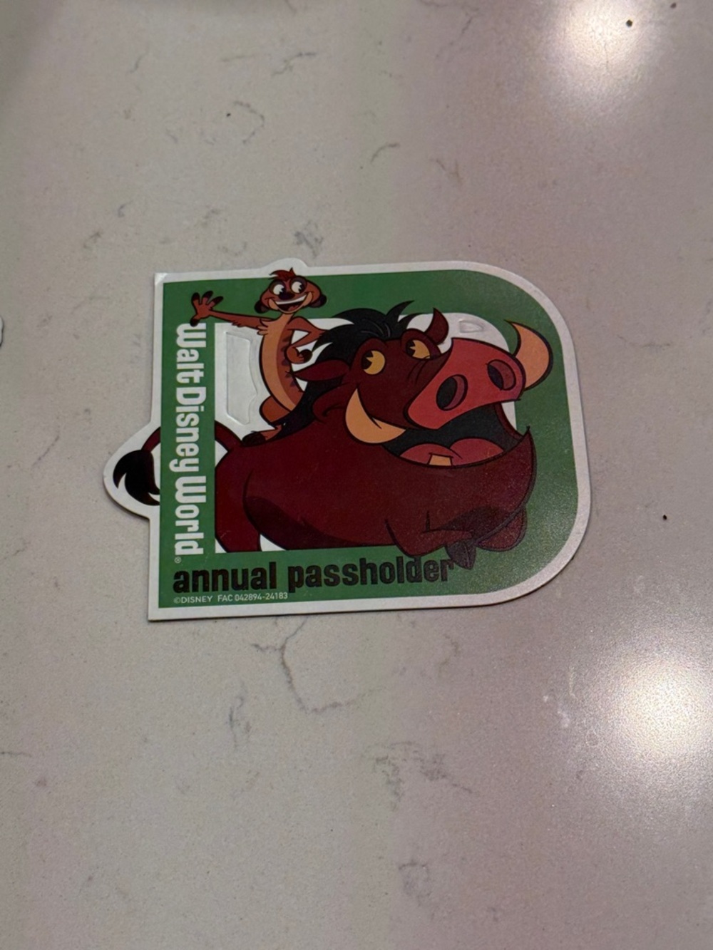 Walt Disney World Annual Passholder Pumbaa & Timon Magnet
